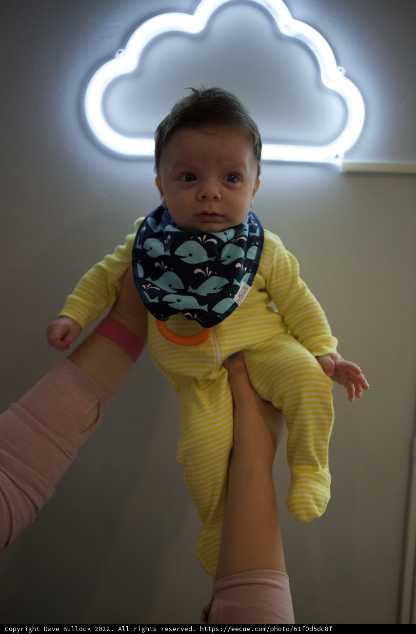 Wesley's Second Month Celebration!