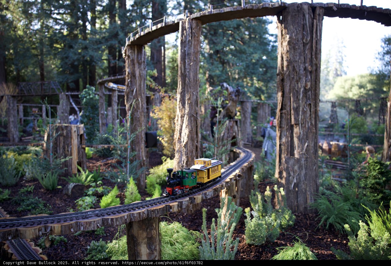 Miniature Train Adventure Through Nature