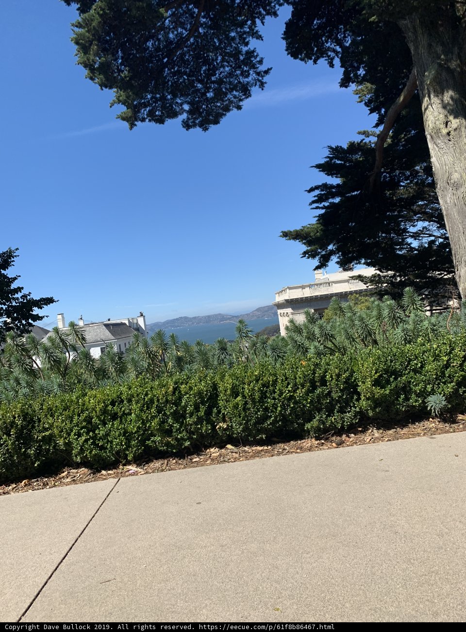 A Serene View of the Ocean from atop a Hill in Lafayette Park