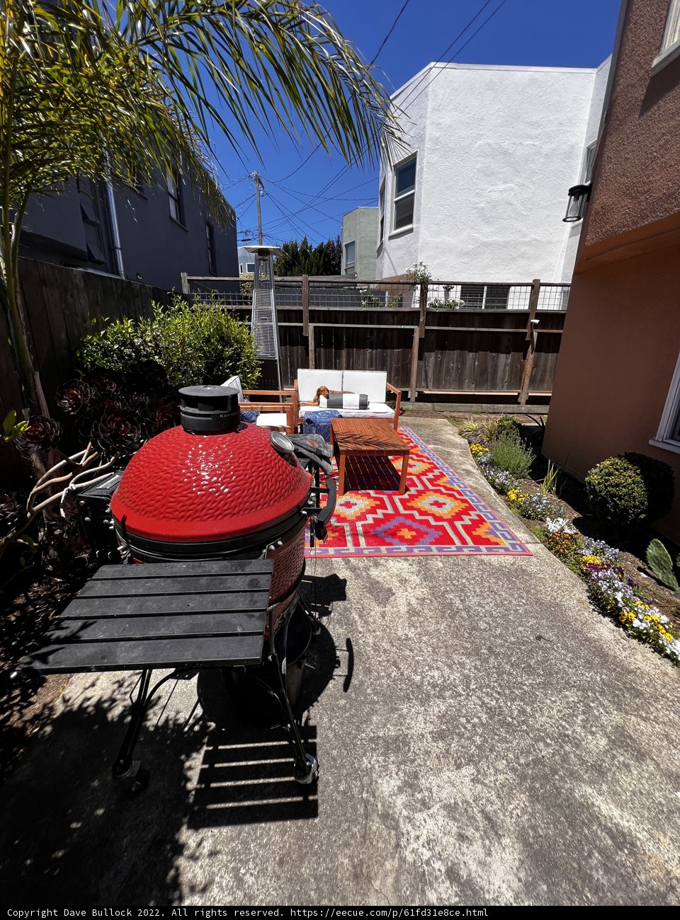 Backyard BBQ Fun