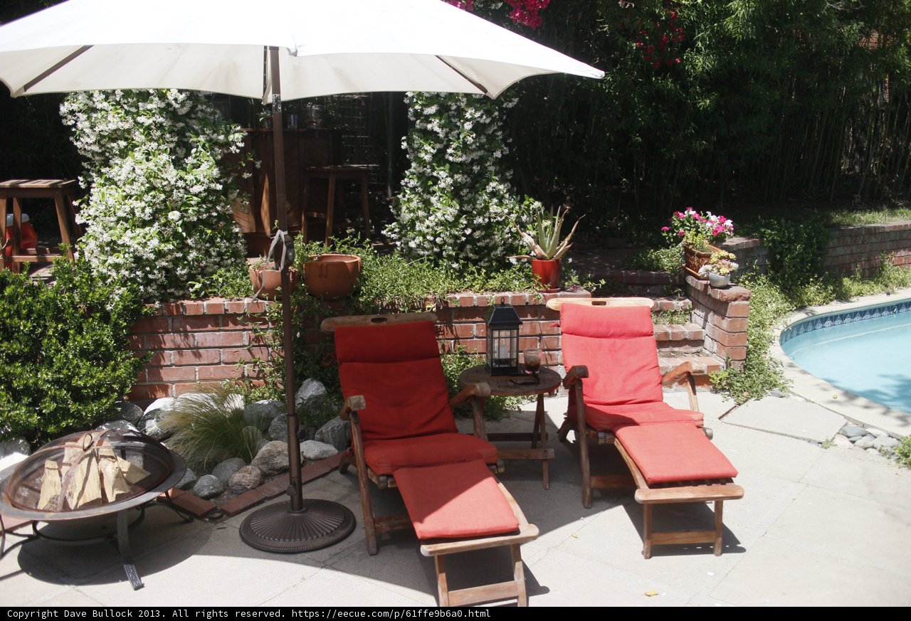 Relaxing on the Backyard Patio