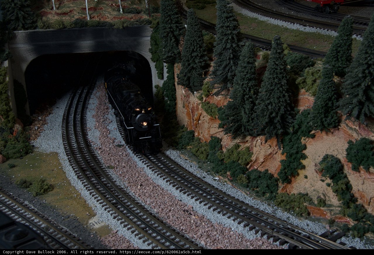 Through the Trees and into the Tunnel
