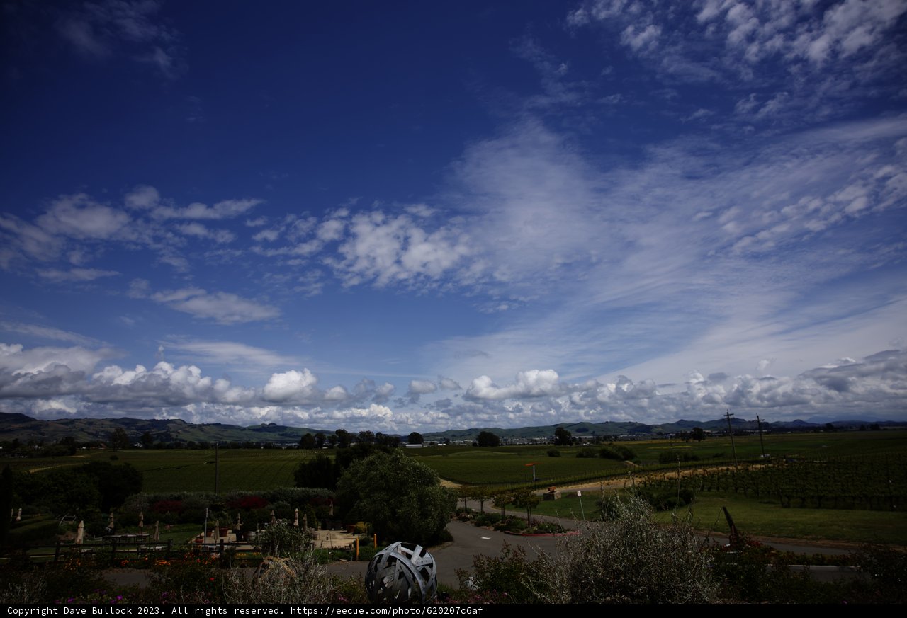 Serenity at Bouchaine Vineyards