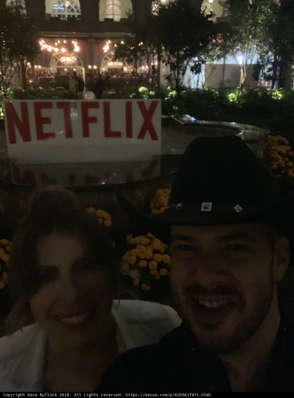 Night Out in the Urban Jungle