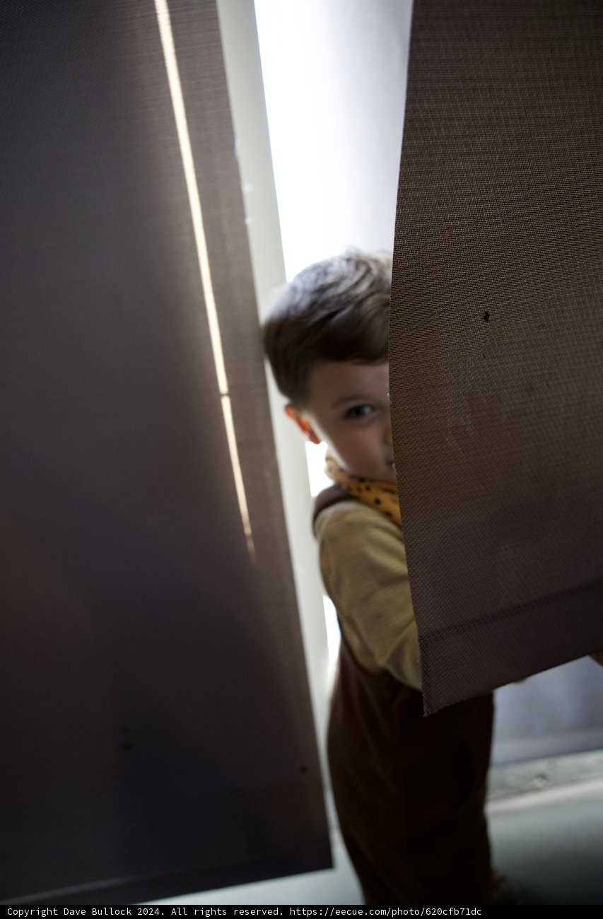 Peekaboo Wesley, 2024