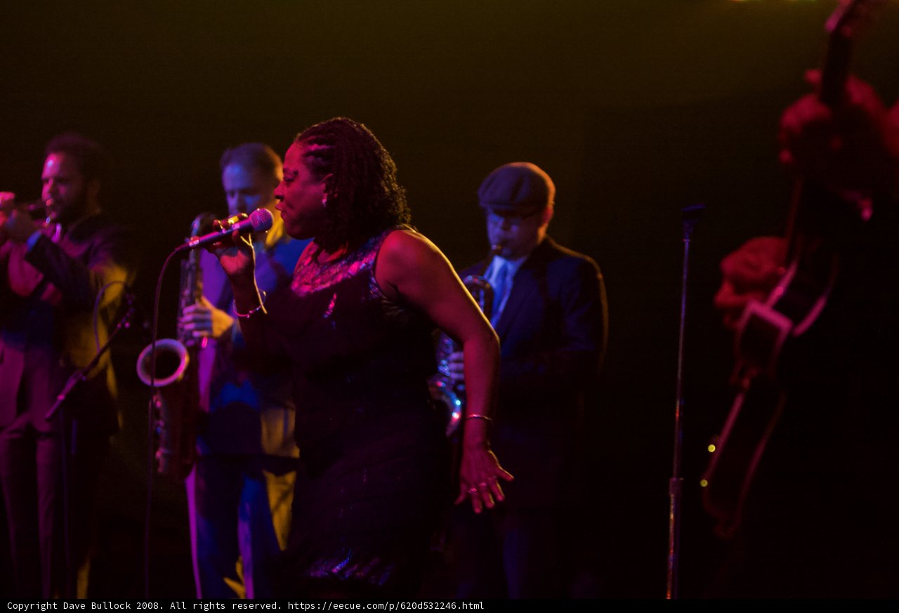 Black Dress Crooner at Coachella