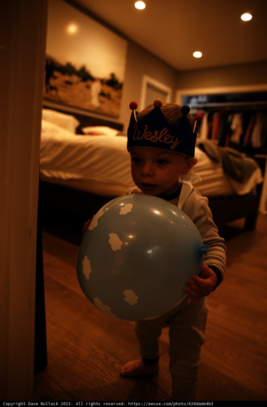 A Royal Celebration! Wesley Turns One
