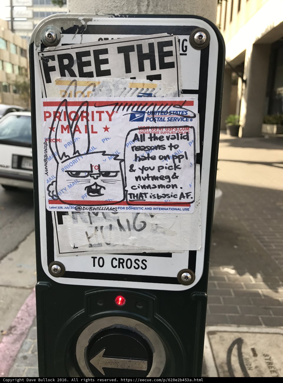 Free the Cat