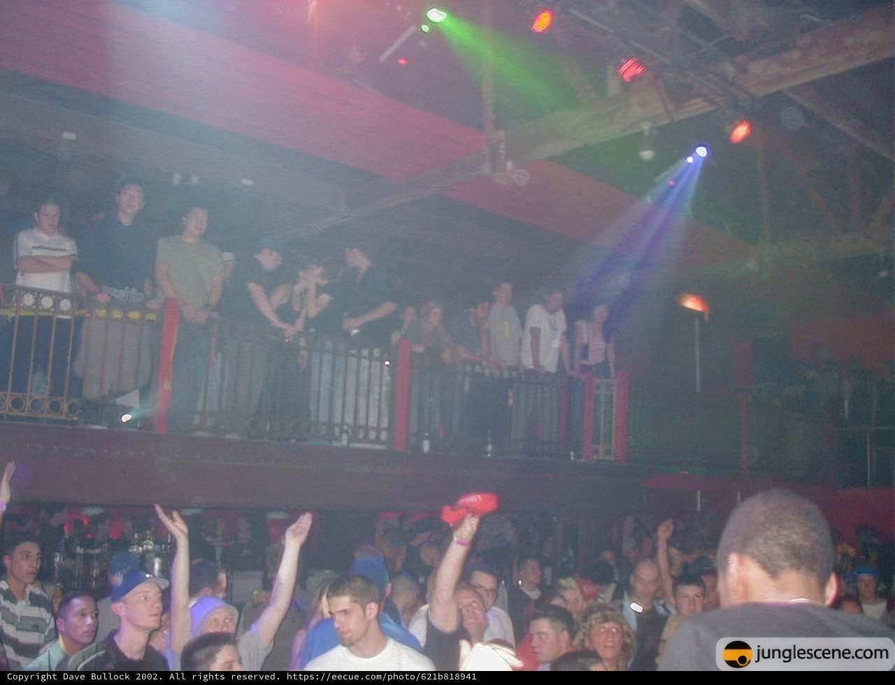 Nightlife Extravaganza