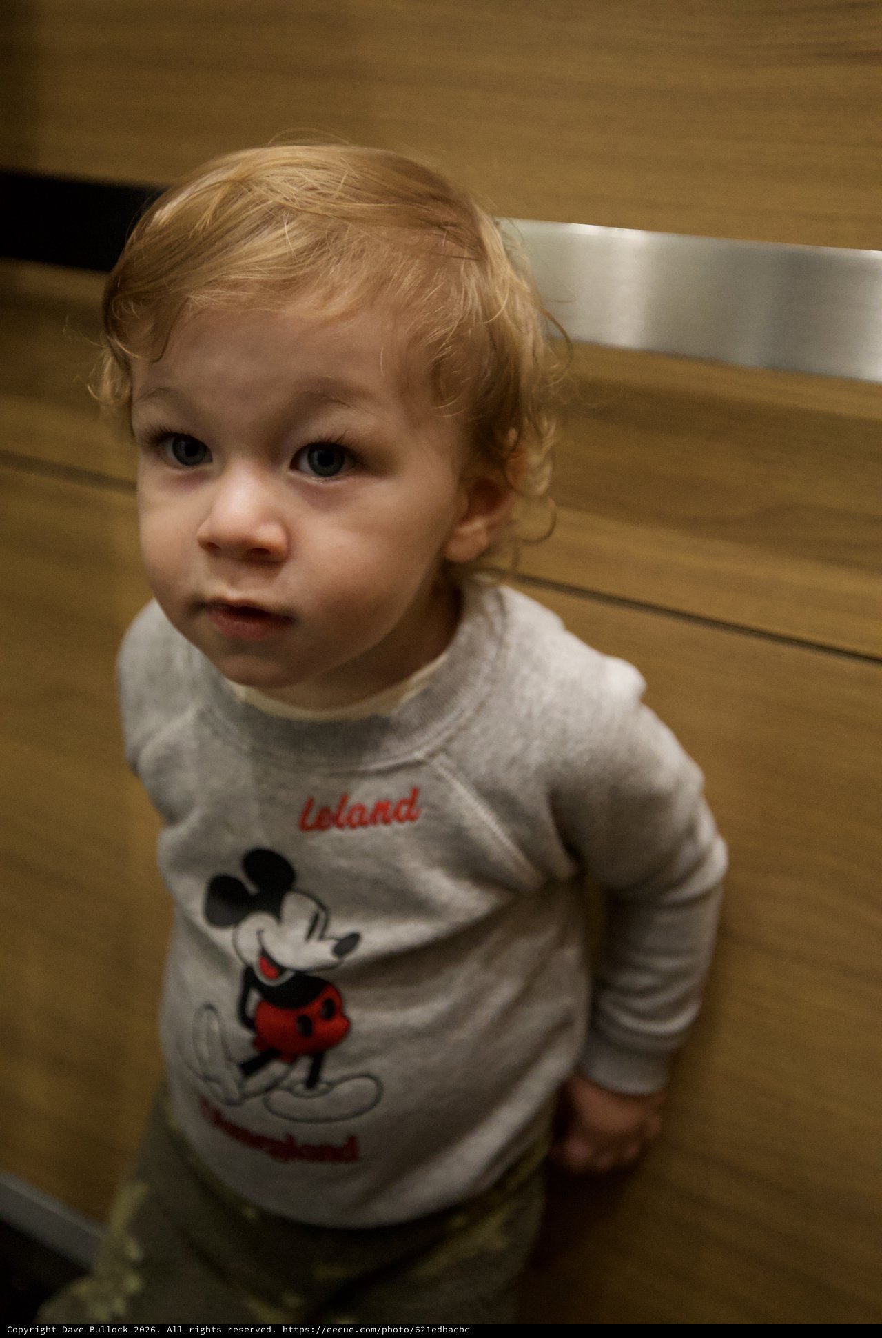 Toddler in Mickey Mouse Sweater at Home