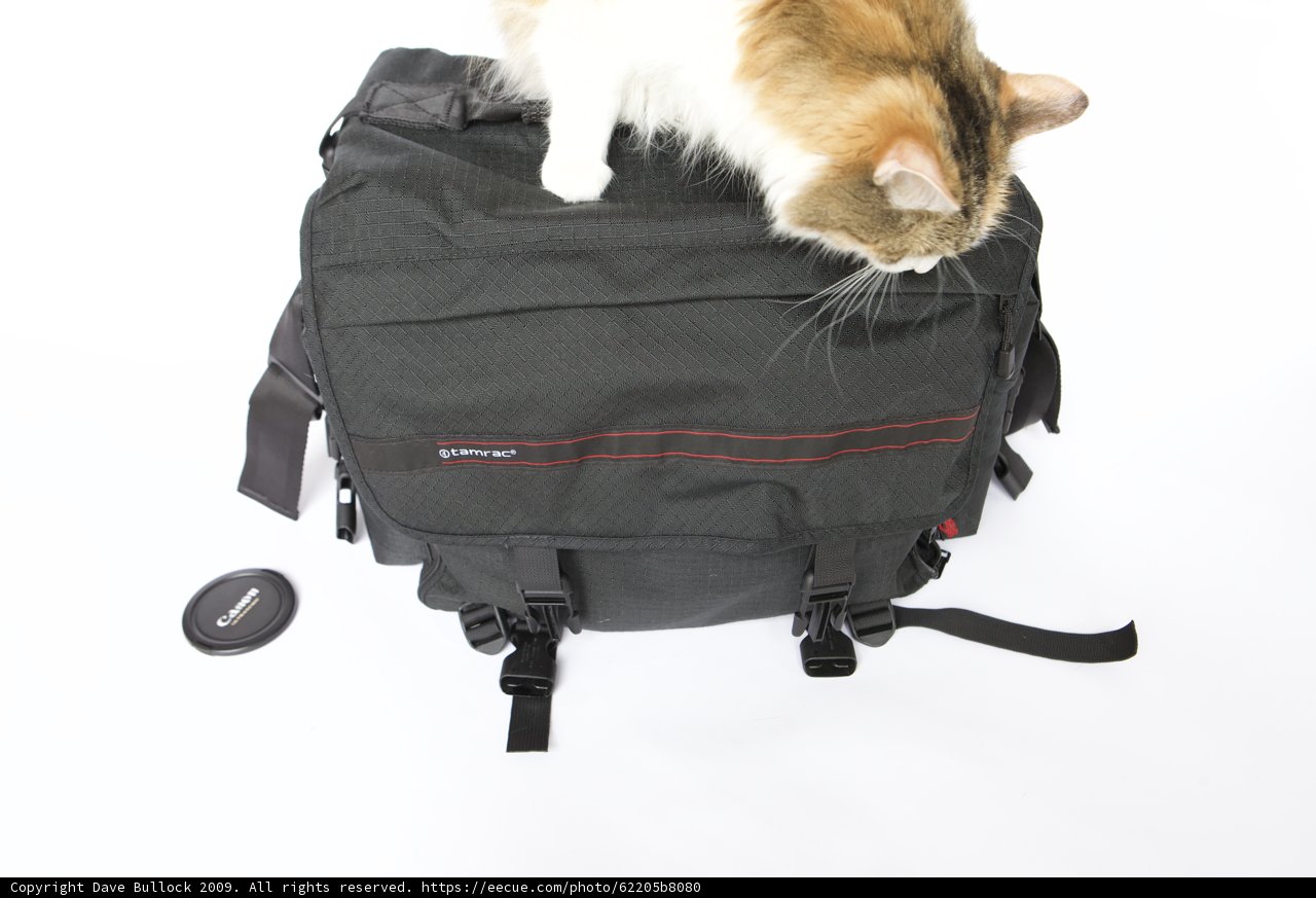 Backpacking with my Feline Friend