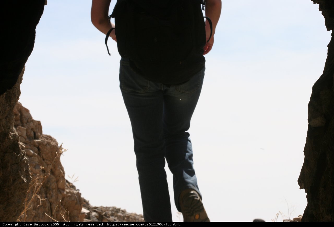 Endless Adventure