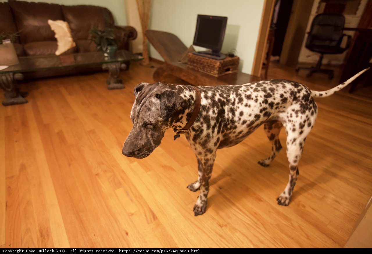 Wooden Flooring Haven