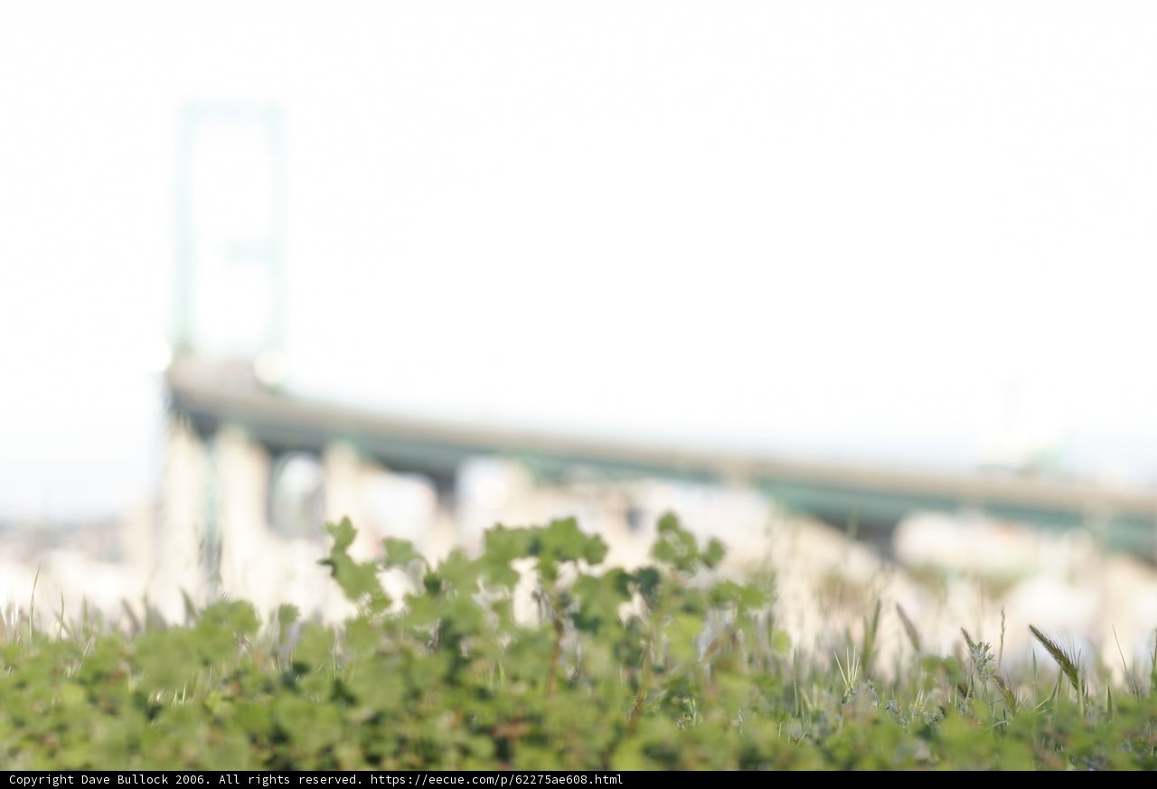 Blurred Viaduct Over a Field of Lush Green Herbs