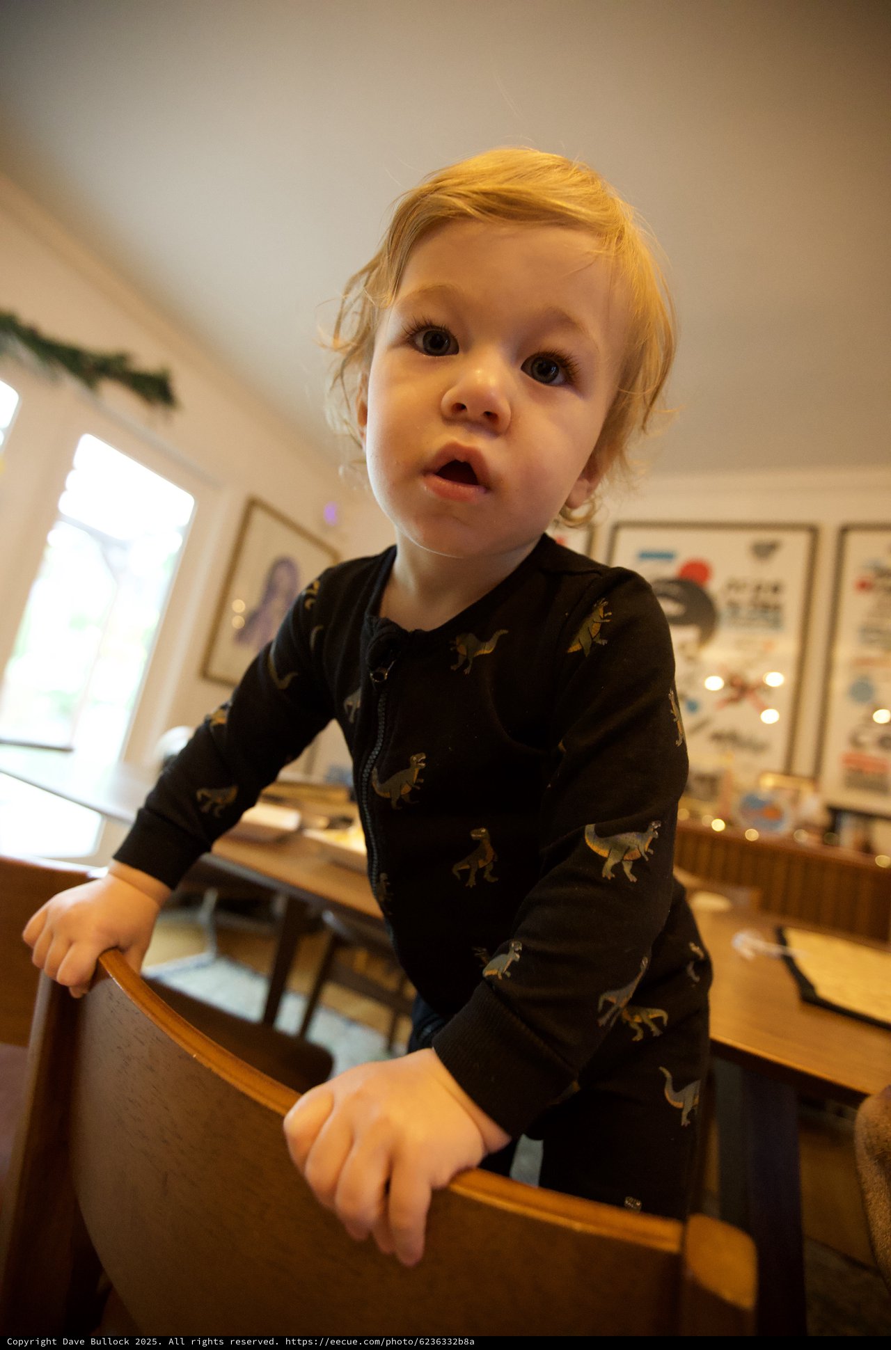 Curious Toddler in Dinosaur Pajamas at Home