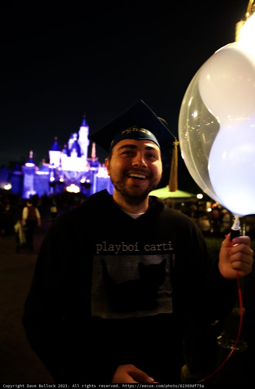 Magical Night at Disneyland