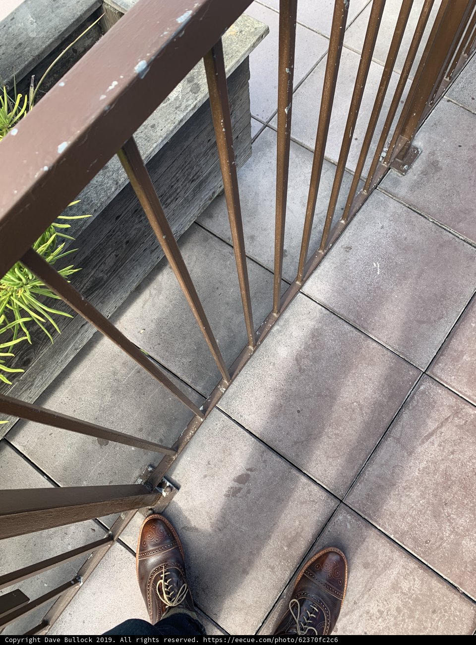 Brown Shoes on Stairway