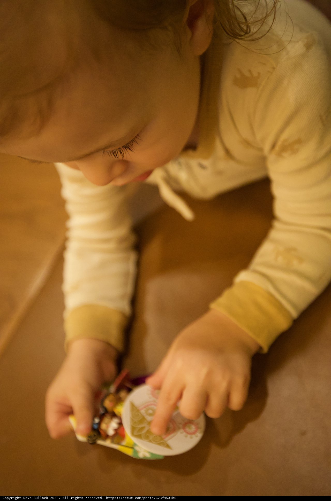 Toddler Intently Examining Colorful Book on Wooden Floor