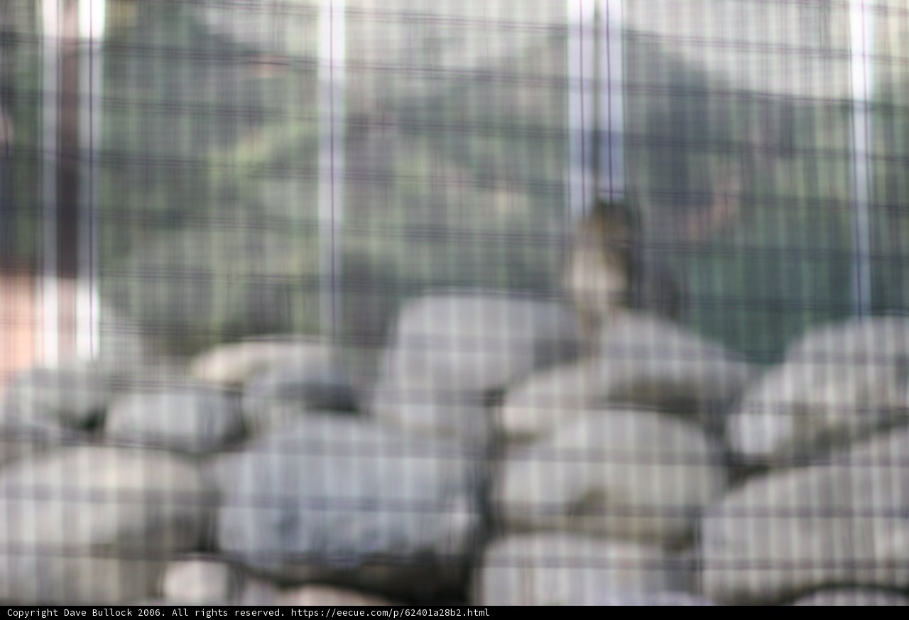 Blurry View of a Rock Wall and Tree