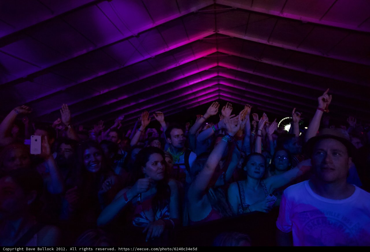Hands Up in the Air at Coachella Concert