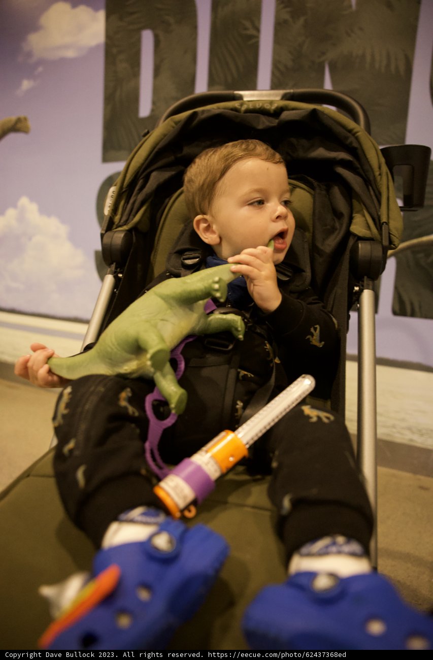 A Day Out With Wesley: Baby Adventures in Golden Gate Park