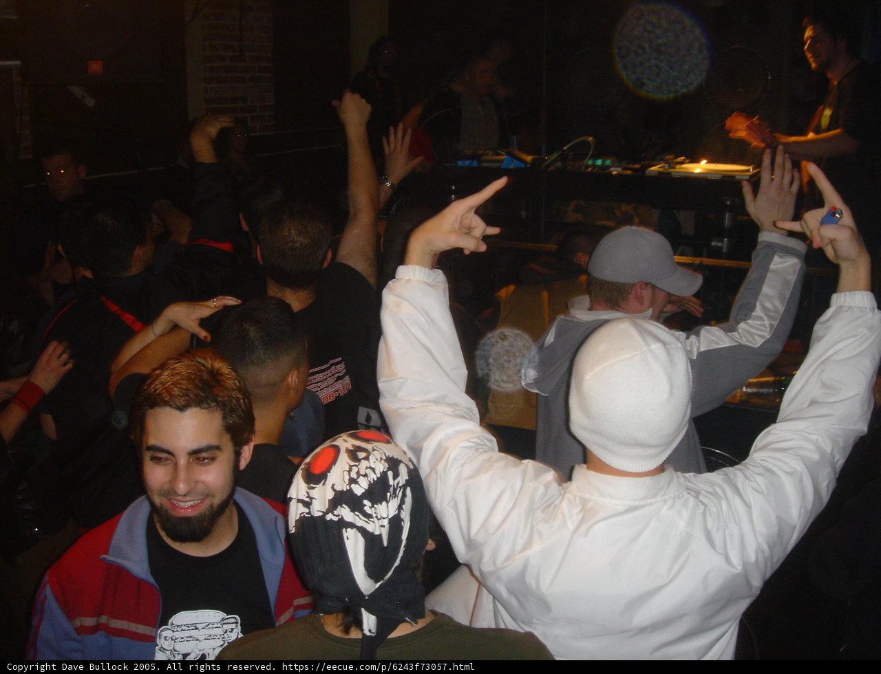 Nightlife in the Urban Jungle