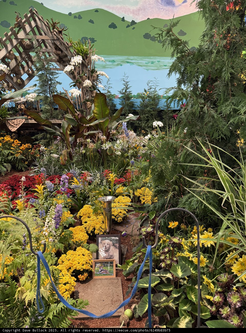 Botanical Bliss in Santa Rosa