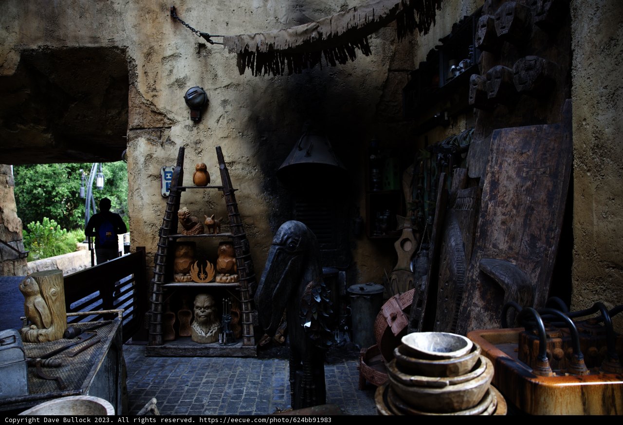 Treasure Trove of Artifacts