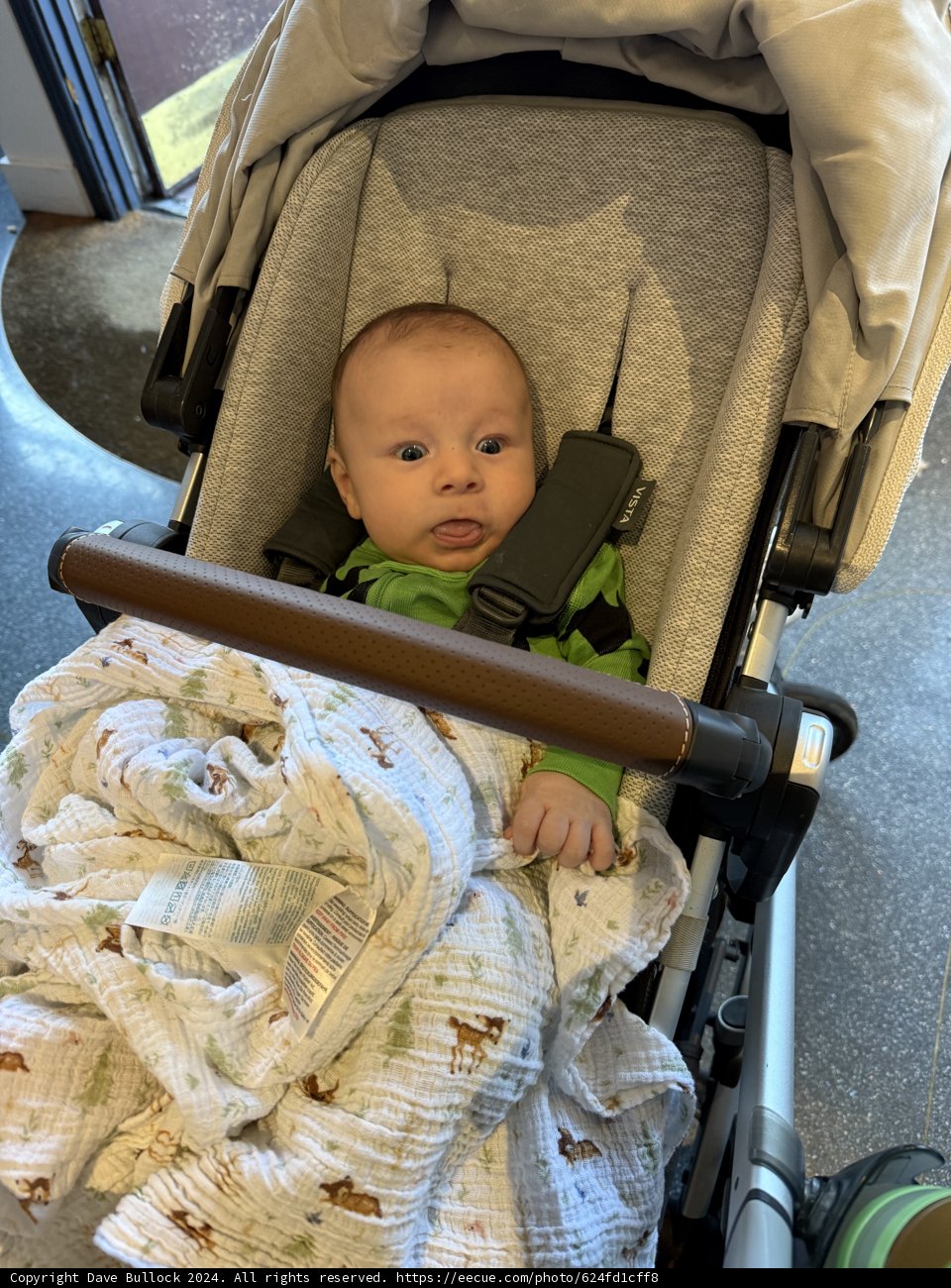 Wonder in the Stroller