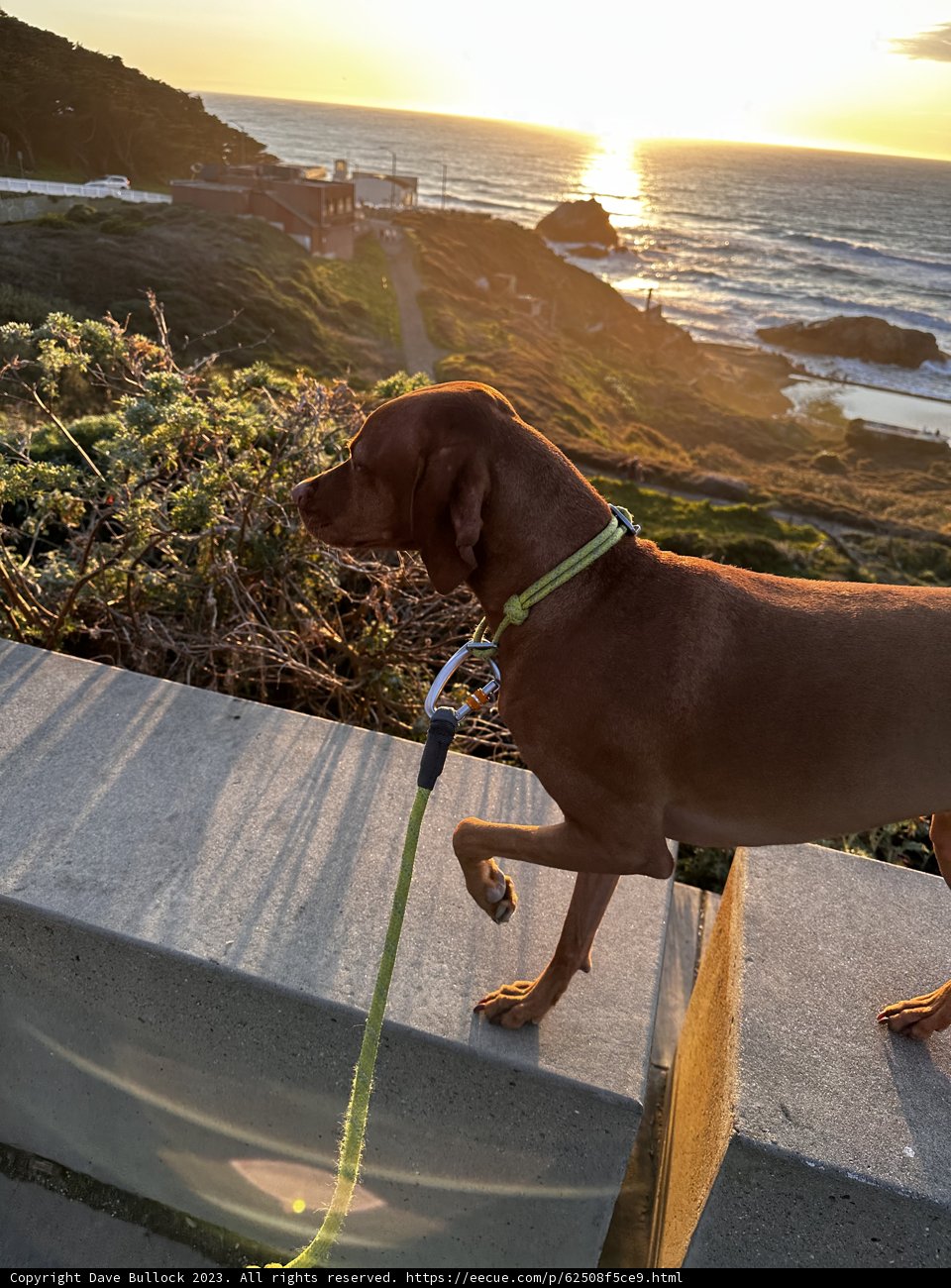 Walking with My Best Friend