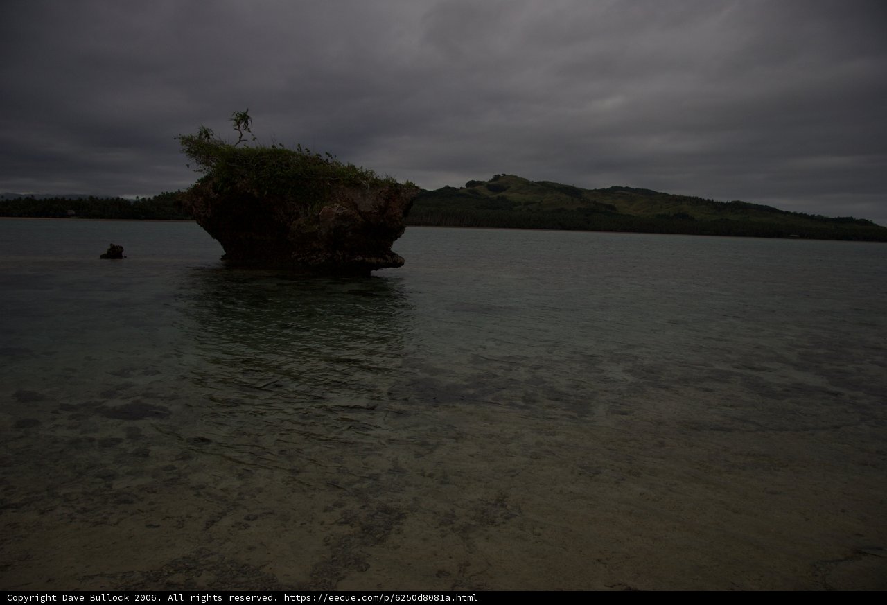 Solitary Tree on Sea Stone