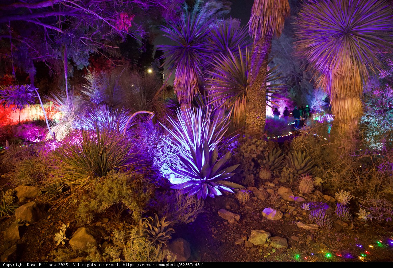 Enchanted Night at the Garden of D’Lights