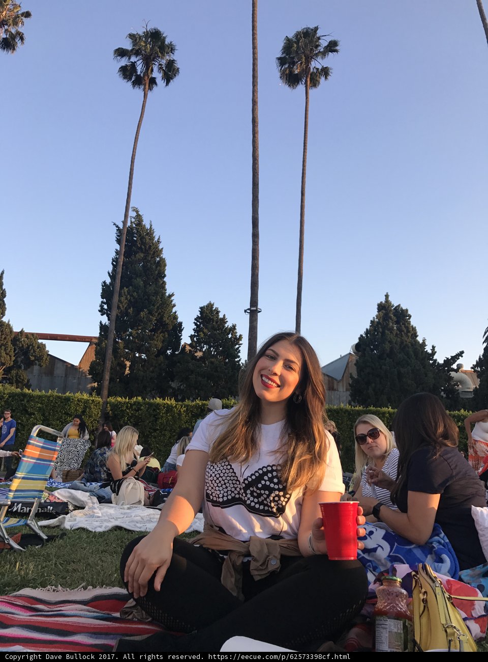 Summer Picnic under the Palm Trees