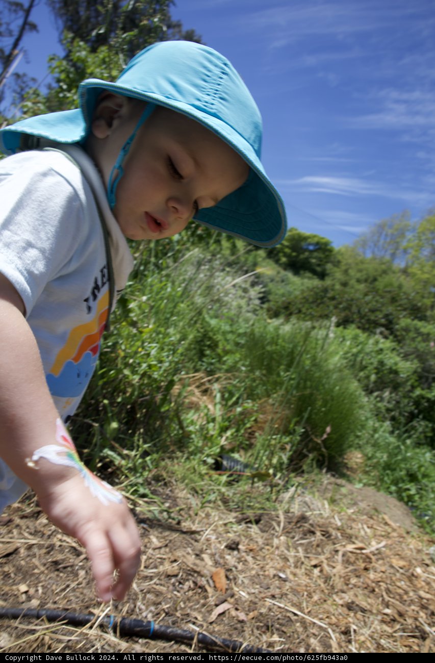 Little Explorer at Alemany Farm