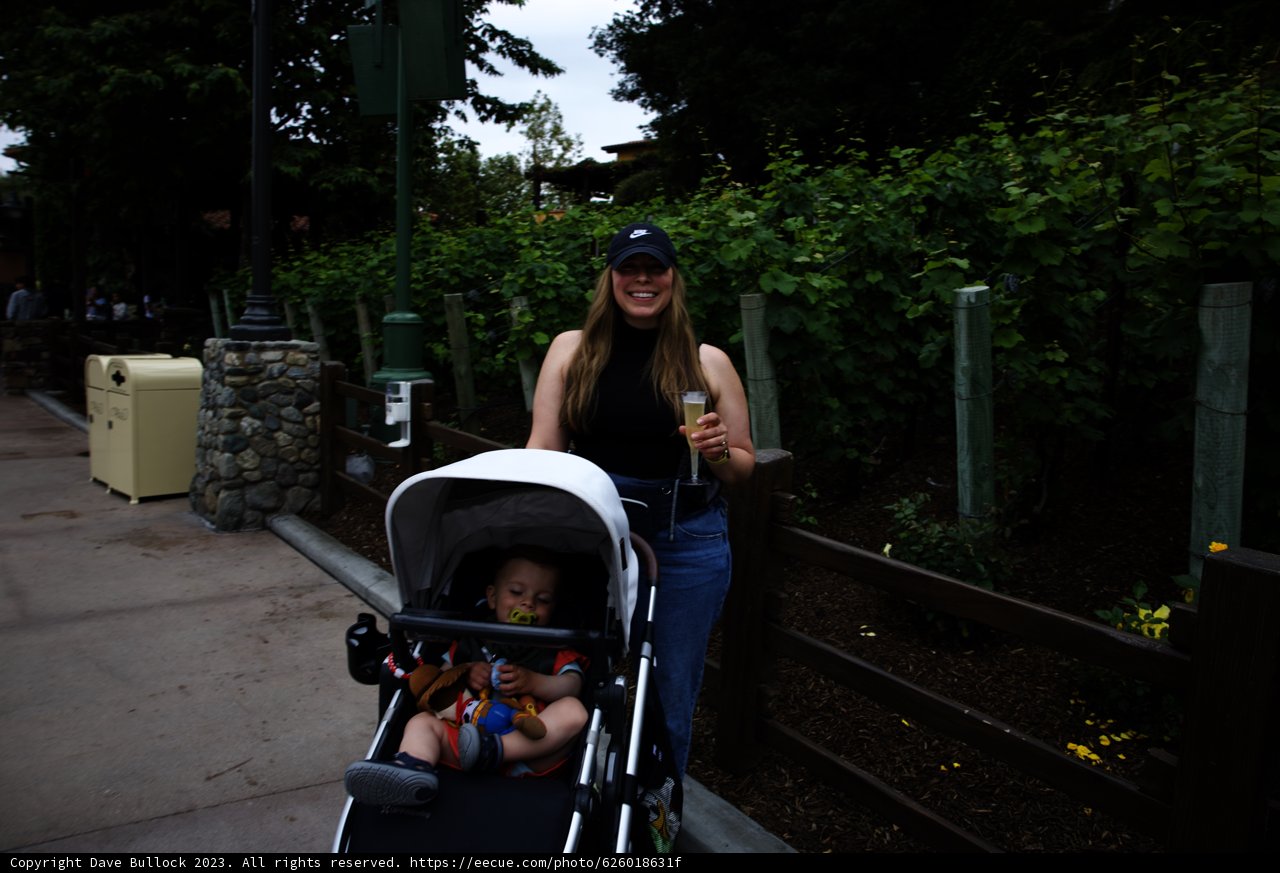 Magical Moments at Disneyland 2023