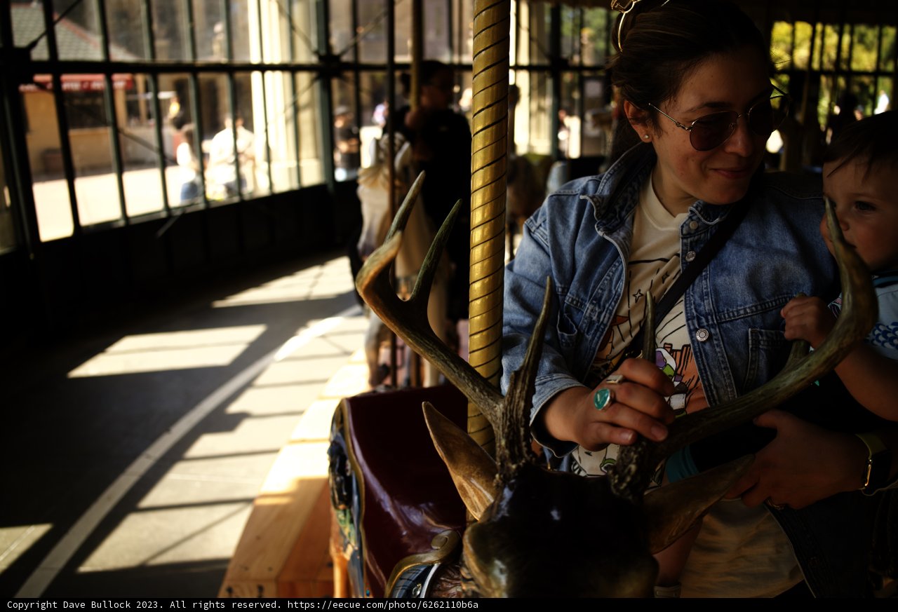 Summer Delight - Carousel Ride at Golden Gate Park