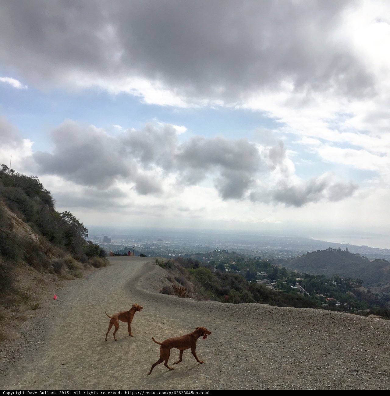 Running Free