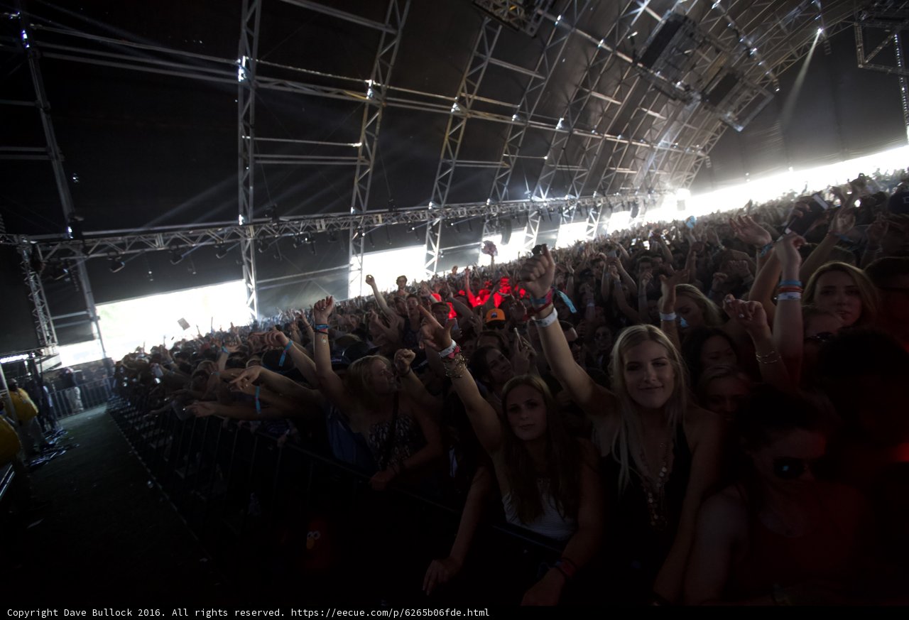 Electric Energy at Coachella