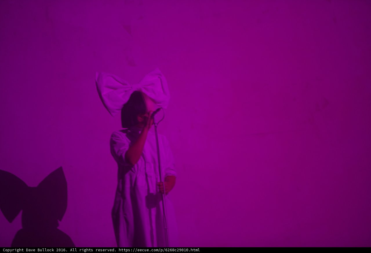 Purple Wall Beauty