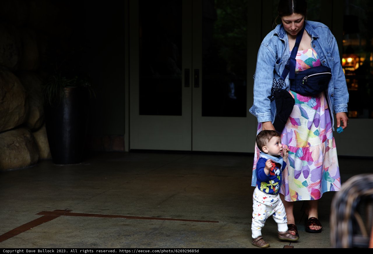Magical Family Moments at Disneyland