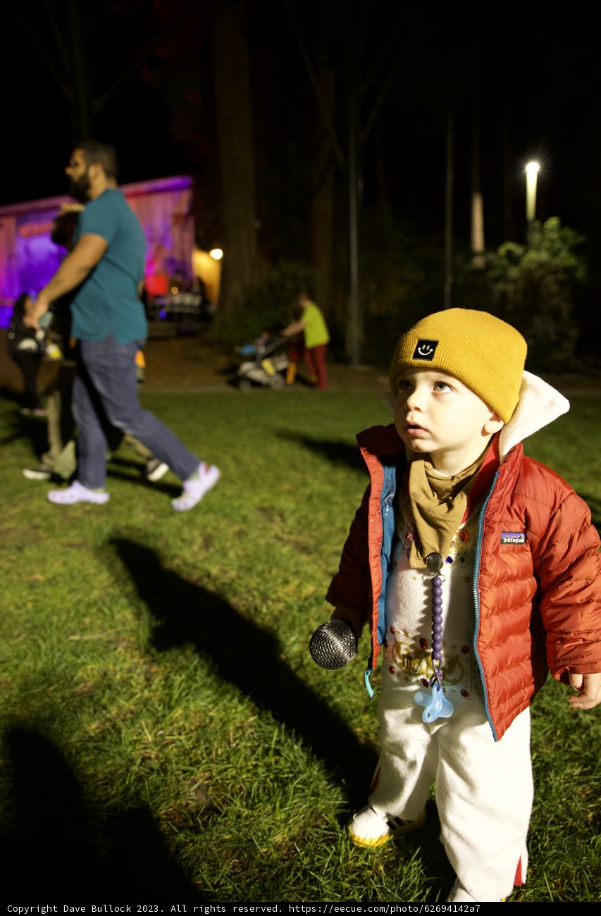 Halloween Fun at Stern Grove