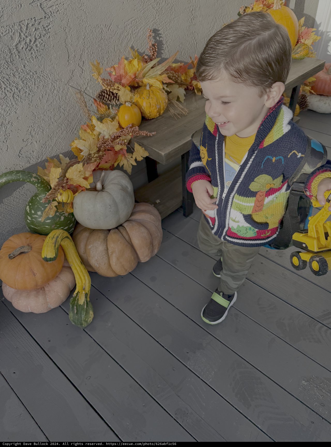 Young Boy Explores Autumn Pumpkin Display