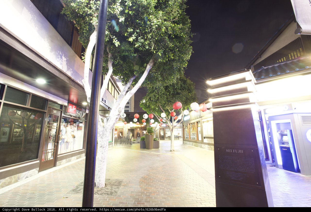 Tree-lined City Street