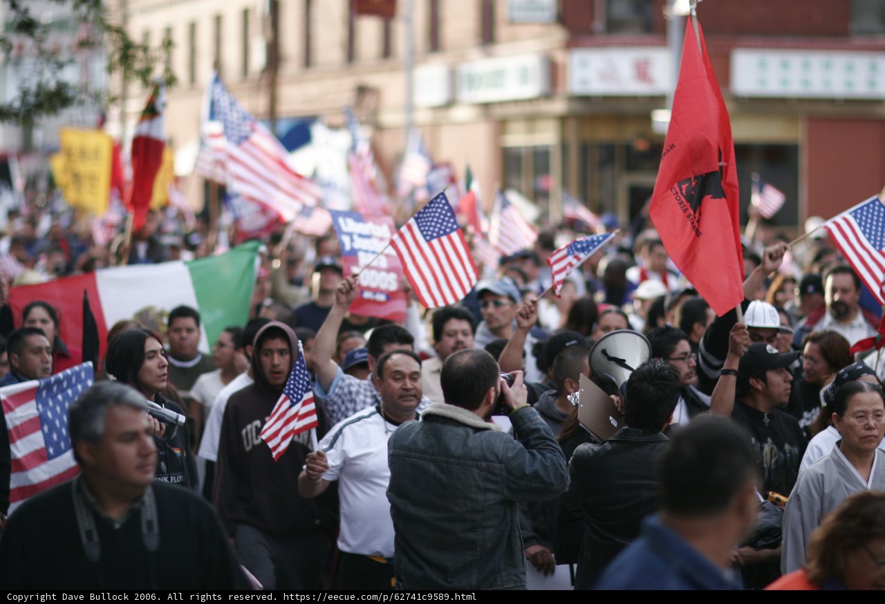 Unity Amidst Diversity