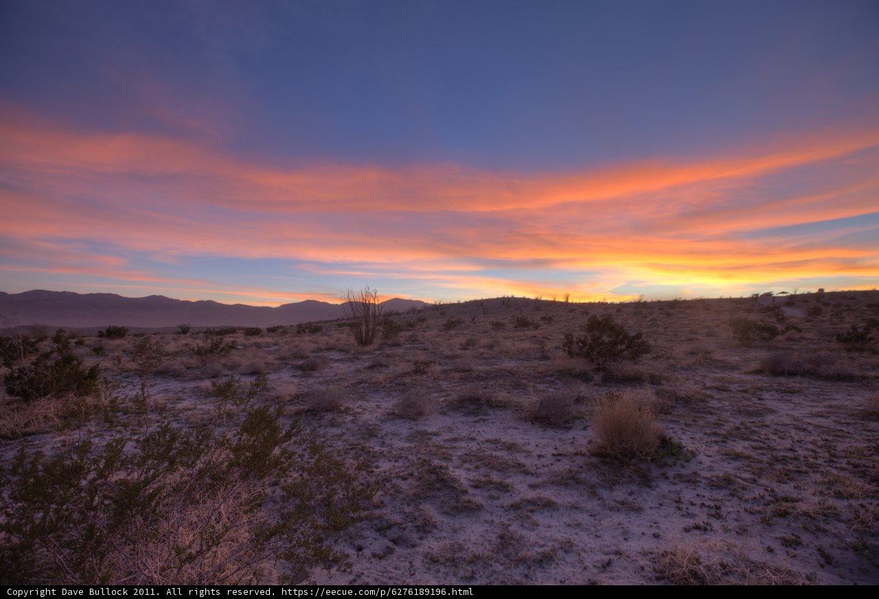 Desert Majesty