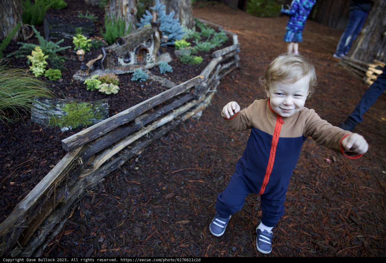 Child's Joy in the Thistlewyck Garden