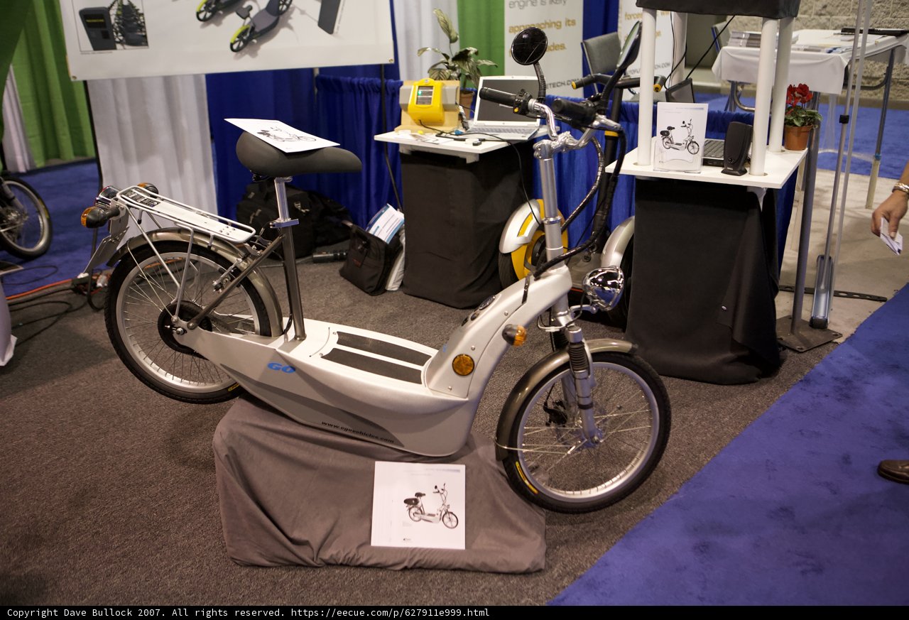 The White Stallion on Display