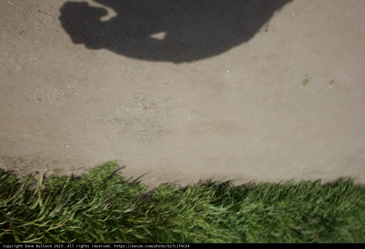 A Walk in Contrast