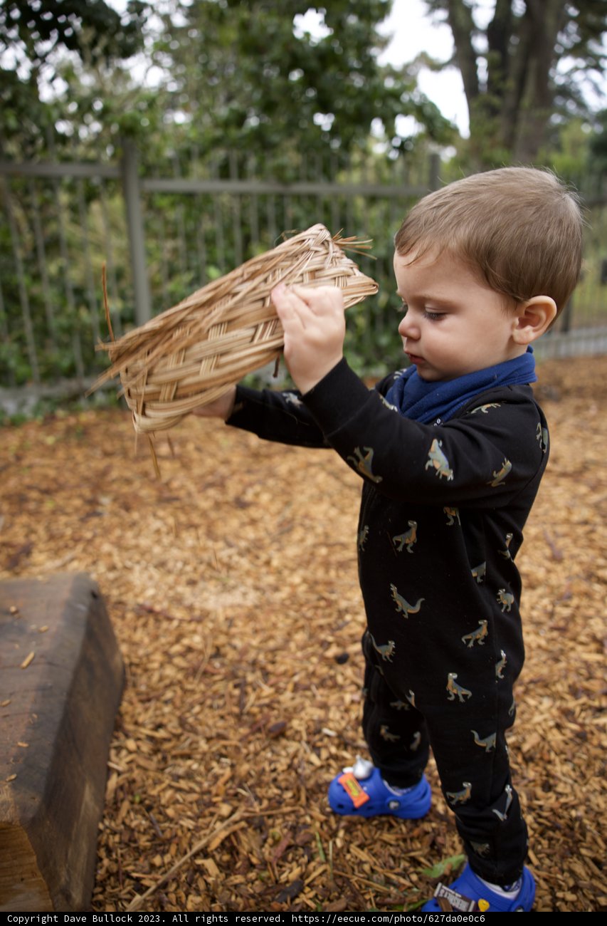 Nature's Apprentice: A Day in the Park with Wesley