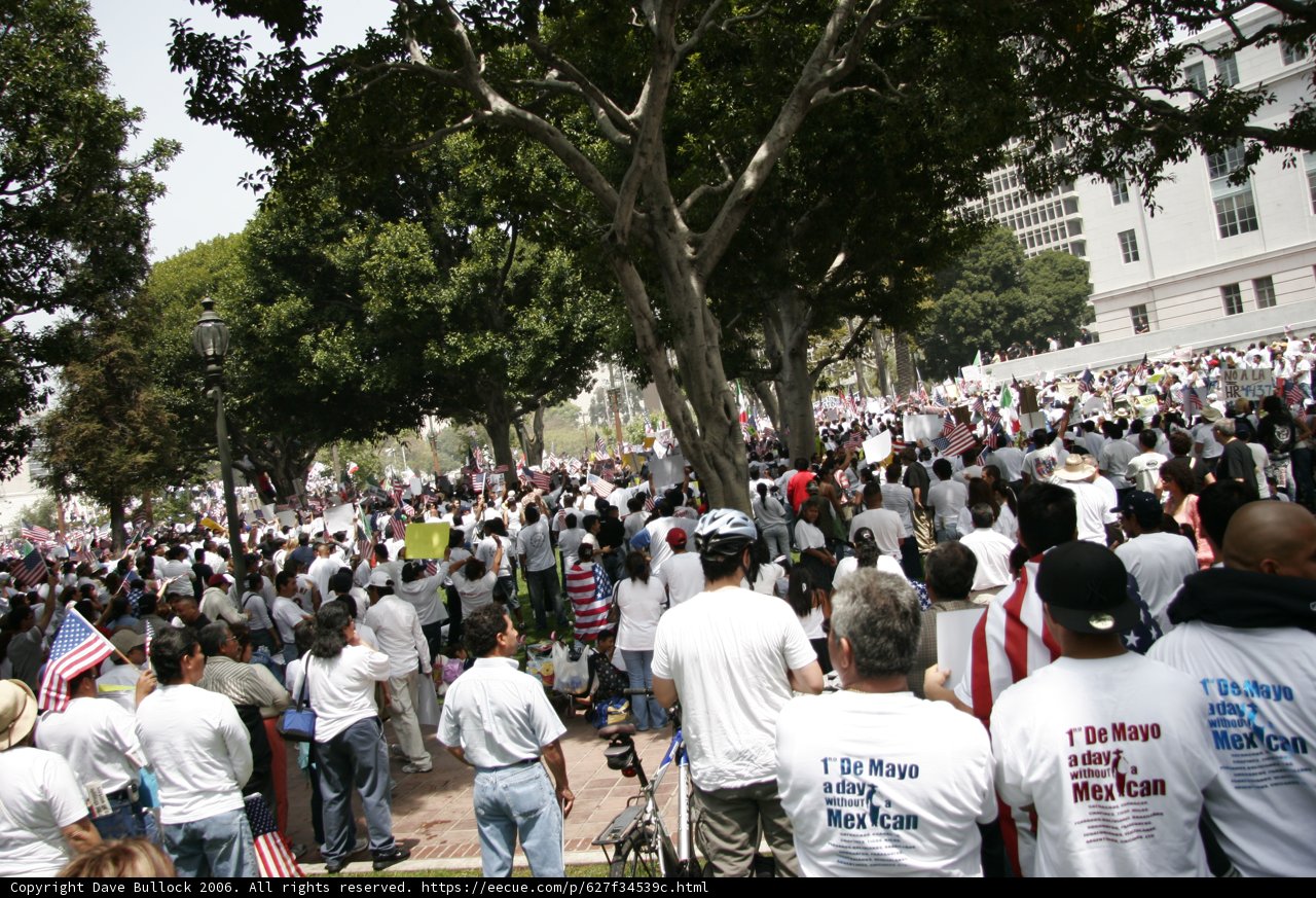 The Park Protest